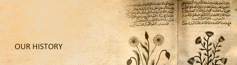 banner_History