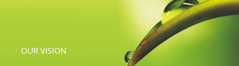 banner_Vision